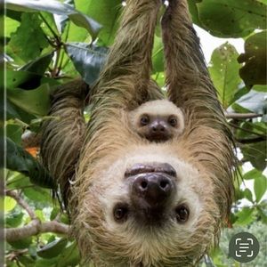 Meet your Posher, Millie